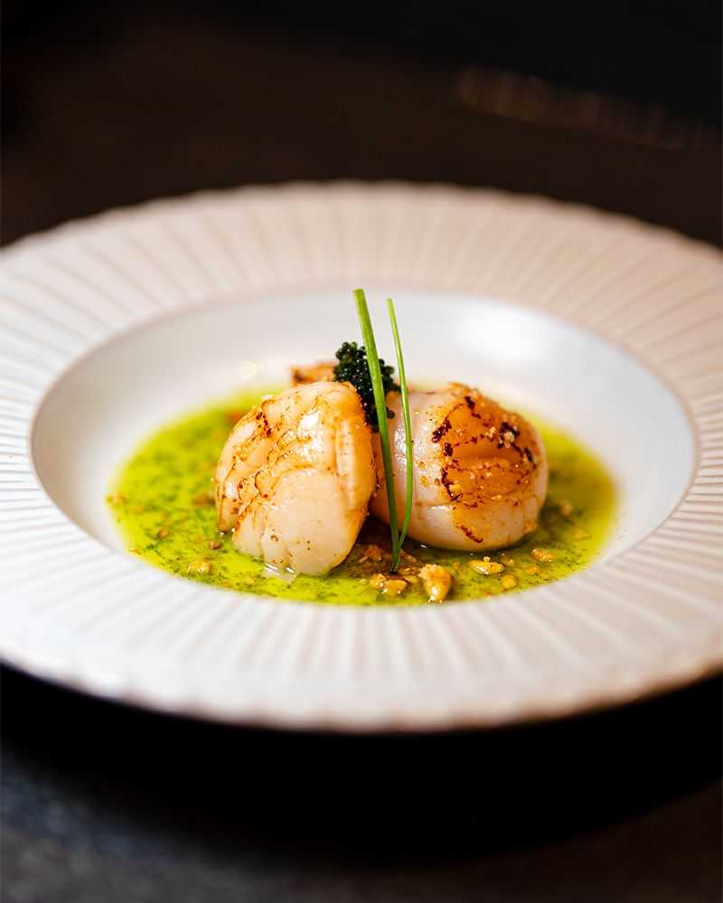 Lightly Seared Scallops with Butter, Shiso Oil, and Pine Tree Nuts